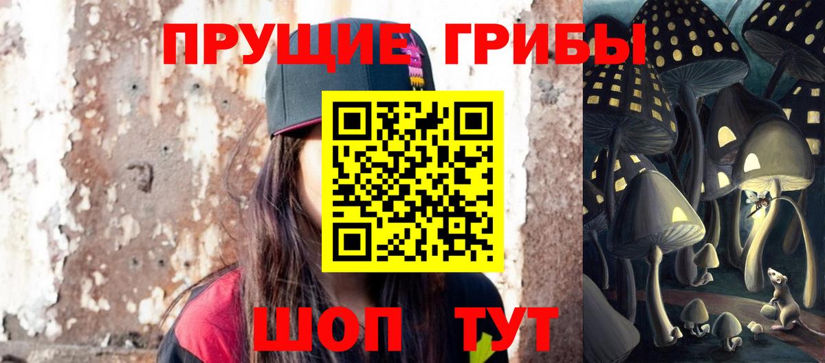 Псилоцибиновые грибы Cubensis  Вход с VPN  Керчь 